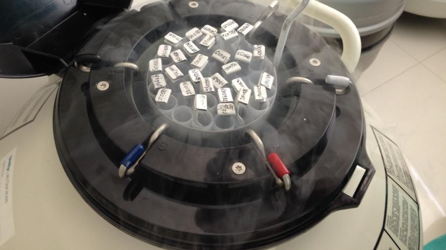 Cryogenic embryo container